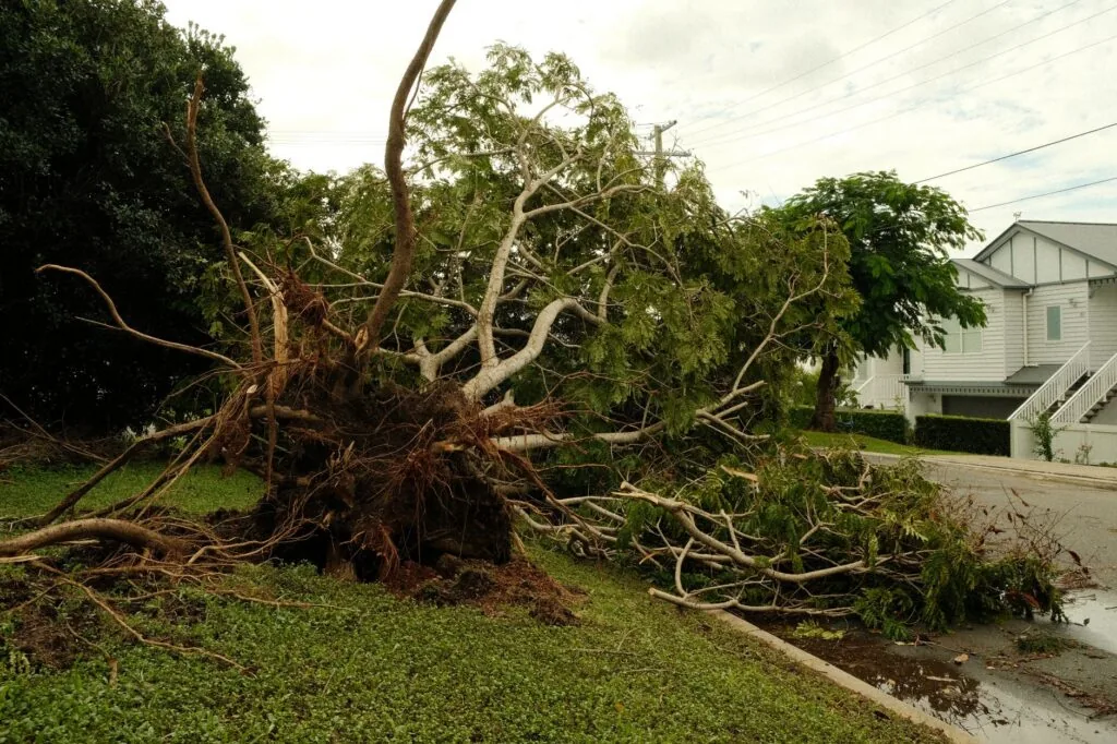 A home with roof damage after a hurricane